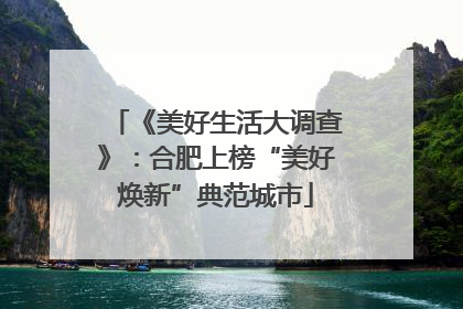 《美好生活大调查》：合肥上榜“美好焕新”典范城市