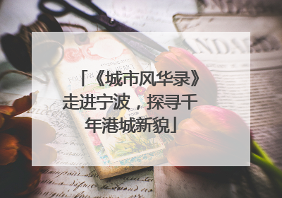 《城市风华录》走进宁波，探寻千年港城新貌