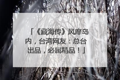 《藏海传》风靡岛内，台湾网友：总台出品，必属精品！