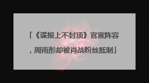 《谍报上不封顶》官宣阵容，周雨彤却被肖战粉丝抵制
