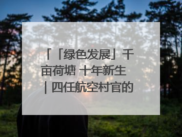 「绿色发展」千亩荷塘 十年新生｜四任航空村官的“生态接力”