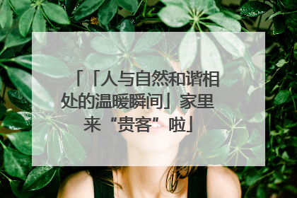 「人与自然和谐相处的温暖瞬间」家里来“贵客”啦