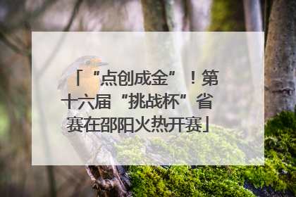 “点创成金”！第十六届“挑战杯”省赛在邵阳火热开赛