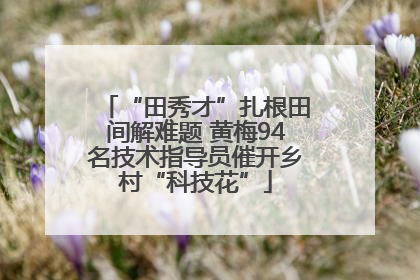 “田秀才”扎根田间解难题 黄梅94名技术指导员催开乡村“科技花”