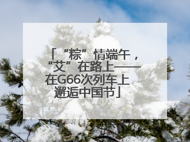 “粽”情端午，“艾”在路上——在G66次列车上邂逅中国节