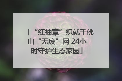 “红袖章”织就千佛山“无废”网 24小时守护生态家园