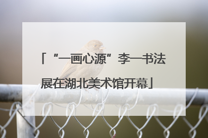 “一画心源”李一书法展在湖北美术馆开幕