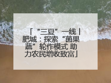 “三夏”一线丨肥城：探索“菌果蔬”轮作模式 助力农民增收致富