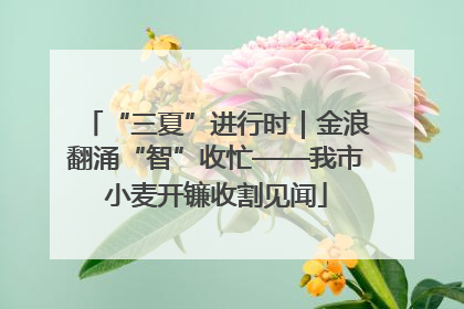 “三夏”进行时｜金浪翻涌“智”收忙——我市小麦开镰收割见闻