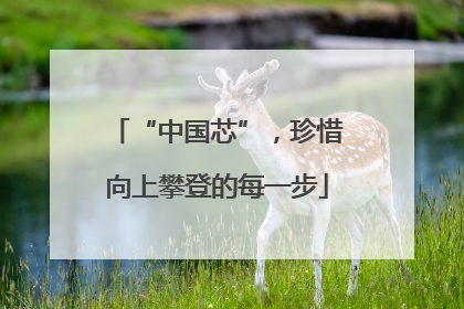 “中国芯”，珍惜向上攀登的每一步