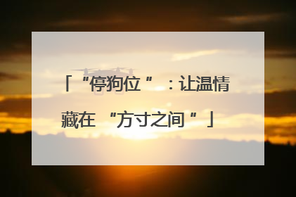 “停狗位 ”：让温情藏在 “方寸之间 ”