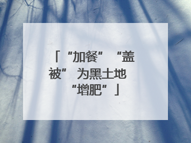 “加餐”“盖被” 为黑土地“增肥”