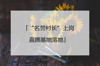 “名誉村长”上岗 直播基地落地