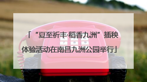 “夏至祈丰·稻香九洲”插秧体验活动在南昌九洲公园举行