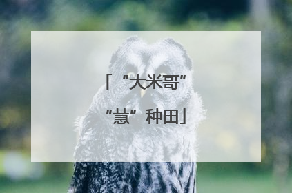 “大米哥”“慧”种田