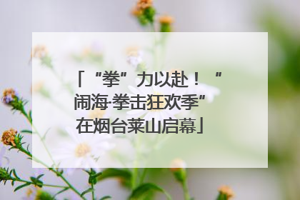 “拳”力以赴！“闹海·拳击狂欢季”在烟台莱山启幕