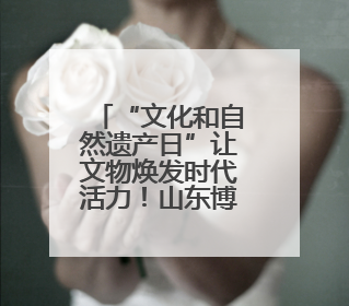 “文化和自然遗产日”让文物焕发时代活力！山东博物馆双展启幕