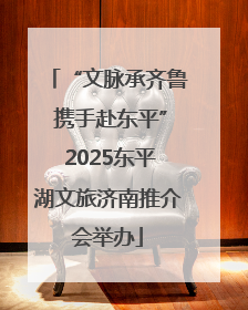 “文脉承齐鲁 携手赴东平” 2025东平湖文旅济南推介会举办