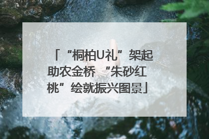 “桐柏U礼”架起助农金桥 “朱砂红桃”绘就振兴图景