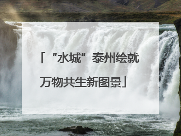 “水城”泰州绘就万物共生新图景