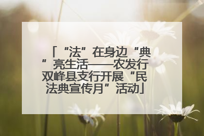 “法”在身边“典”亮生活——农发行双峰县支行开展“民法典宣传月”活动