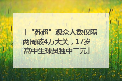 “苏超”观众人数仅隔两周破4万大关，17岁高中生球员独中二元
