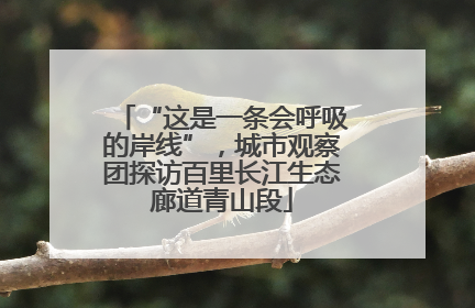 “这是一条会呼吸的岸线”，城市观察团探访百里长江生态廊道青山段