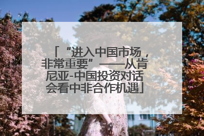 “进入中国市场，非常重要”——从肯尼亚-中国投资对话会看中非合作机遇