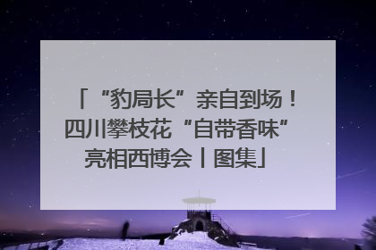 “豹局长”亲自到场！四川攀枝花“自带香味”亮相西博会丨图集