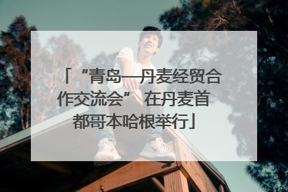 “青岛—丹麦经贸合作交流会” 在丹麦首都哥本哈根举行