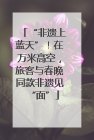 “非遗上蓝天”！在万米高空，旅客与春晚同款非遗见“面”