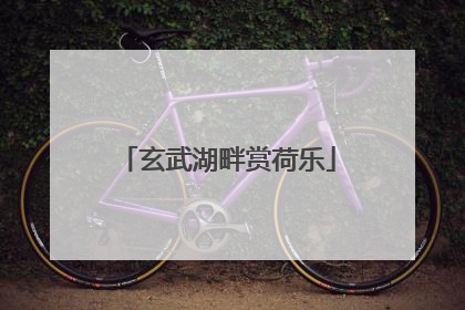 玄武湖畔赏荷乐