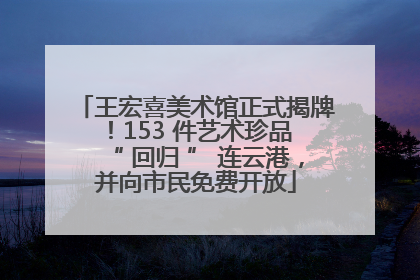 王宏喜美术馆正式揭牌！153 件艺术珍品 “ 回归 ” 连云港，并向市民免费开放