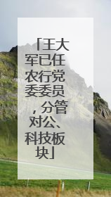 王大军已任农行党委委员，分管对公、科技板块