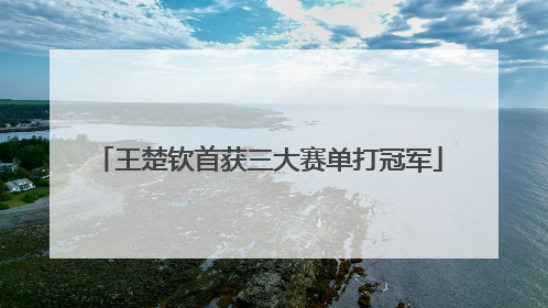 王楚钦首获三大赛单打冠军