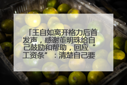 王自如离开格力后首发声，感谢董明珠给自己鼓励和帮助，回应“工资条”：清楚自己要什么，工资条不重要