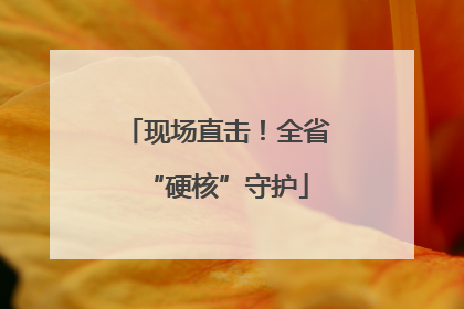 现场直击！全省“硬核”守护