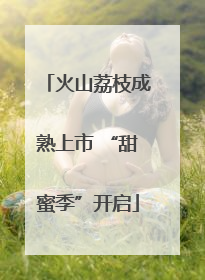 火山荔枝成熟上市 “甜蜜季”开启