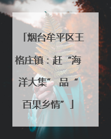 烟台牟平区王格庄镇：赶“海洋大集” 品“百果乡情”