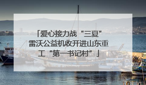 爱心接力战“三夏” 雷沃公益机收开进山东重工“第一书记村”