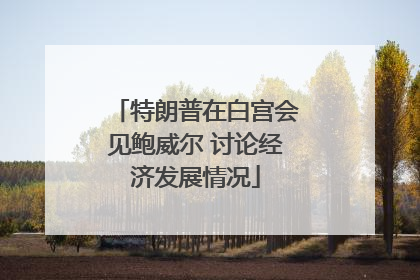 特朗普在白宫会见鲍威尔 讨论经济发展情况