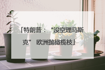 特朗普：“没空理马斯克” 欧洲抛橄榄枝