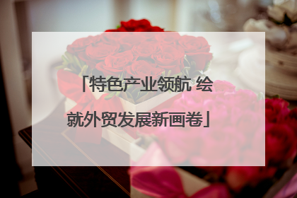 特色产业领航 绘就外贸发展新画卷