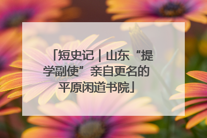 短史记｜山东“提学副使”亲自更名的平原闲道书院