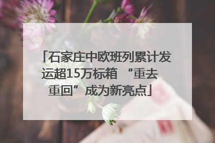 石家庄中欧班列累计发运超15万标箱 “重去重回”成为新亮点