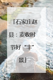 石家庄赵县：麦收时节好“丰”景
