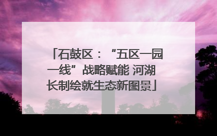 石鼓区：“五区一园一线”战略赋能 河湖长制绘就生态新图景