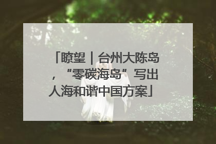 瞭望｜台州大陈岛，“零碳海岛”写出人海和谐中国方案