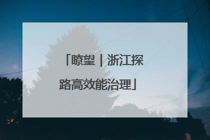 瞭望｜浙江探路高效能治理