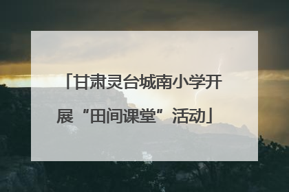 甘肃灵台城南小学开展“田间课堂”活动